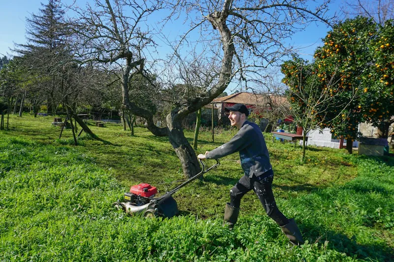 Lawn Care field service